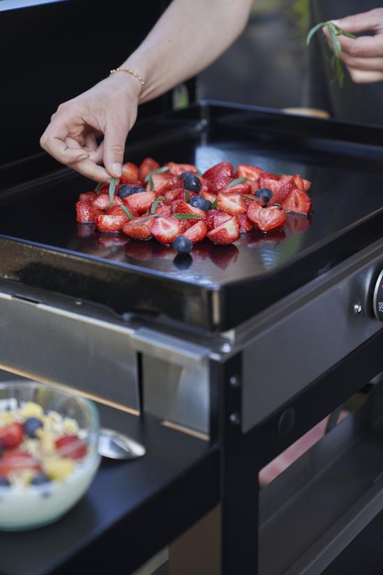 La Plancha Francaise Electrique 150 Duo-Ausführung (inkl. Deckel, Wagen, Gewürzhalter und Vorhang)