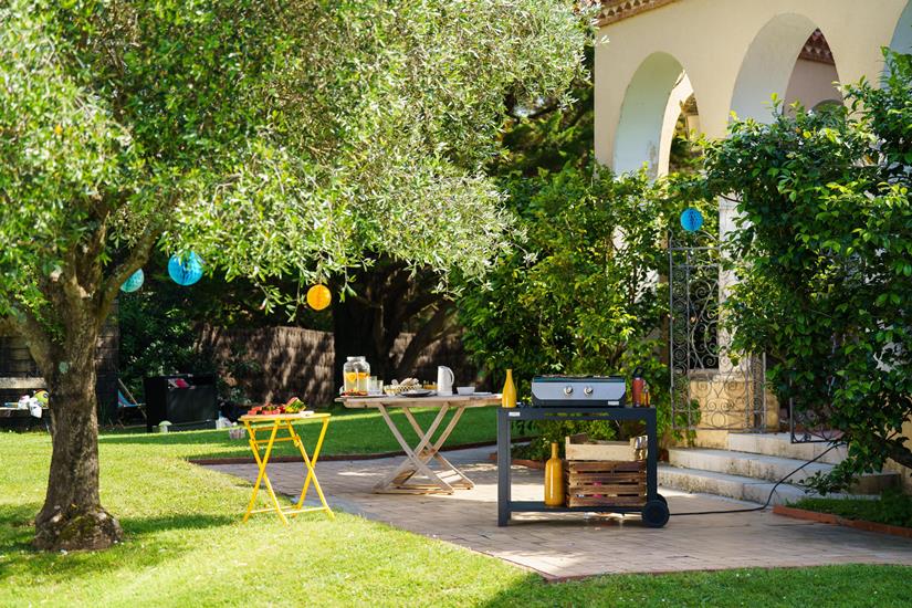 Plancha Original Electric 260 Duo Edition - French Griddle